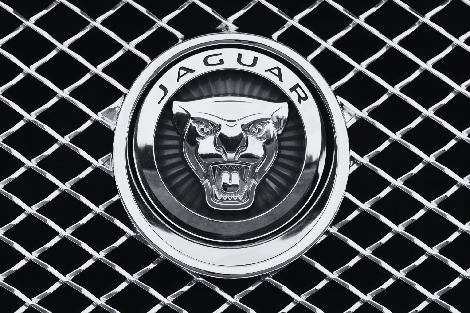 logo jak powinno wyglądać